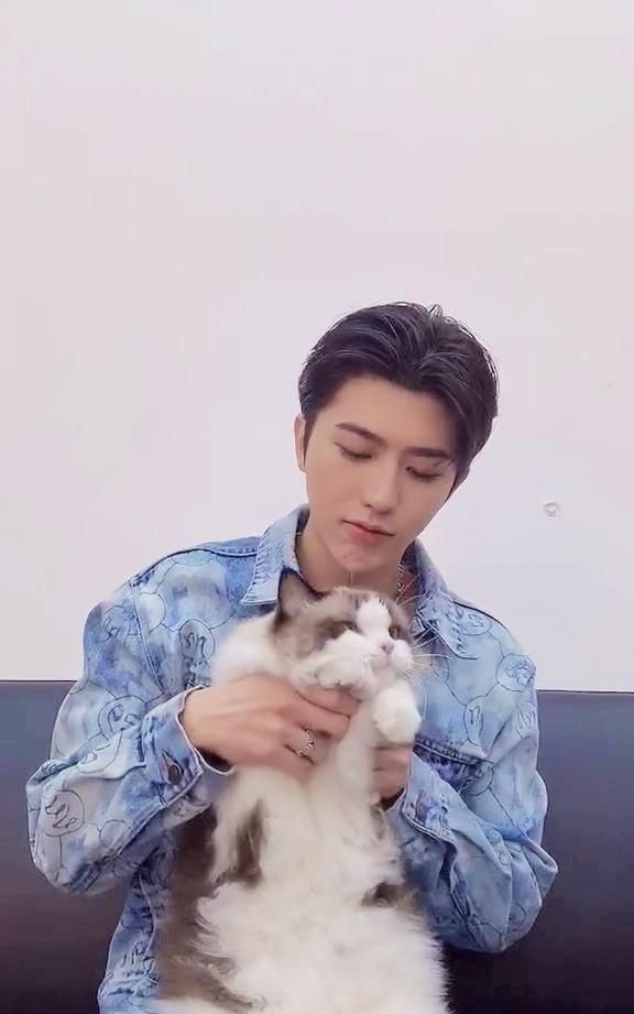 《情人》舞蹈,这是迟到的七夕告白麽|情人|蔡徐坤|猫咪_新浪新闻