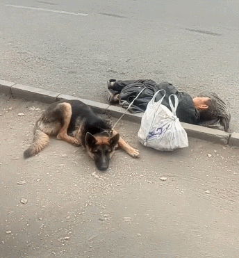 流浪汉带着狗狗睡大街,一条蛇皮绳当牵引!