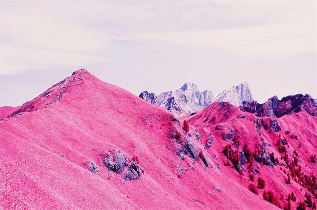 继南极出现血雪之后,阿尔卑斯山也出现的粉红色的雪,专家说,这很可能