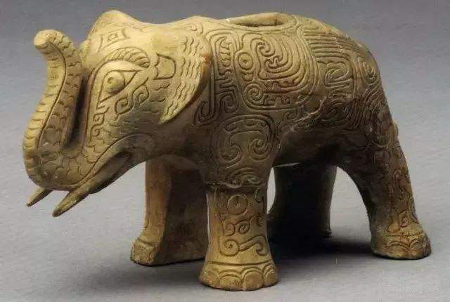 河南出现成群野象?你没看错,3000年前就是这样的