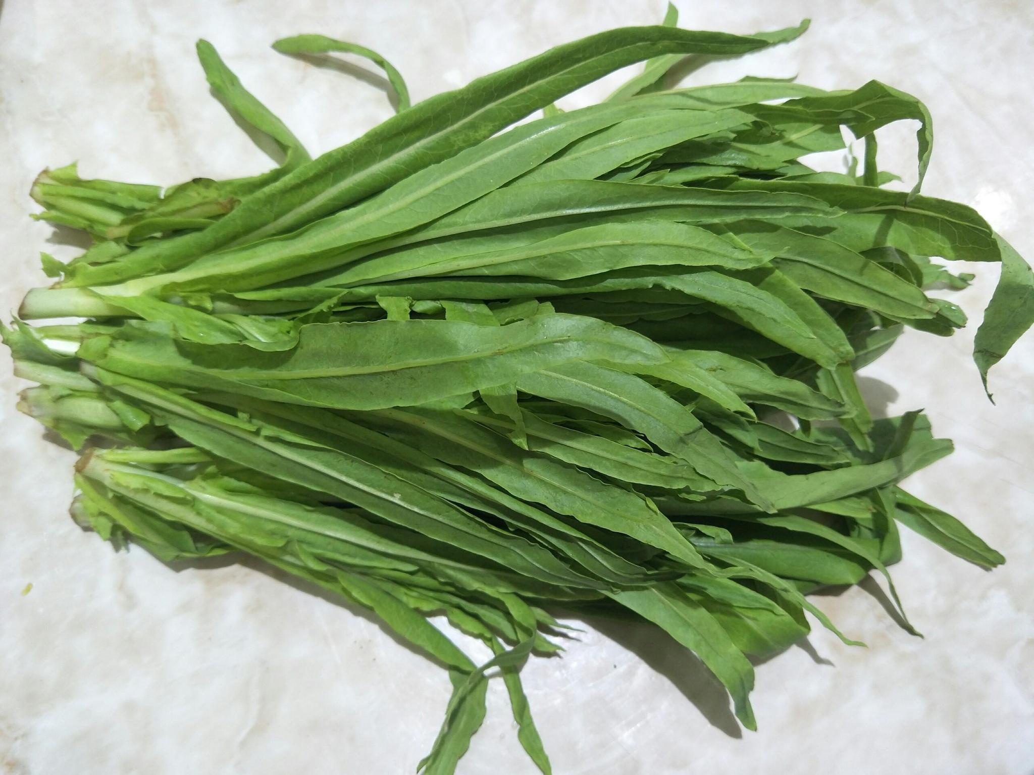 油麦菜好吃又实惠,教你详细做法,菜叶清脆不发软,入味好吃