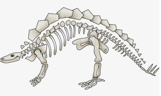 体重近4吨的恐龙,靠什么支撑起庞大的身躯?原来它有特殊结构