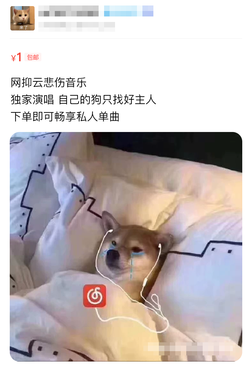 在闲鱼里面搜"网抑云",你会发现到处都是卖网易云音乐会员的人,大部分