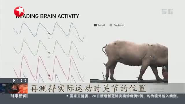 美国：马斯克发布Neuralink脑机接口Link V0.9_新浪新闻