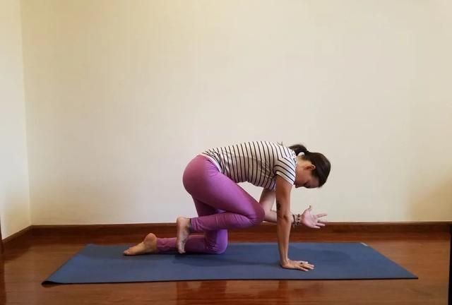 四足支撑姿势右手,左膝撑地吸气右腿向后抬高左手伸直向前