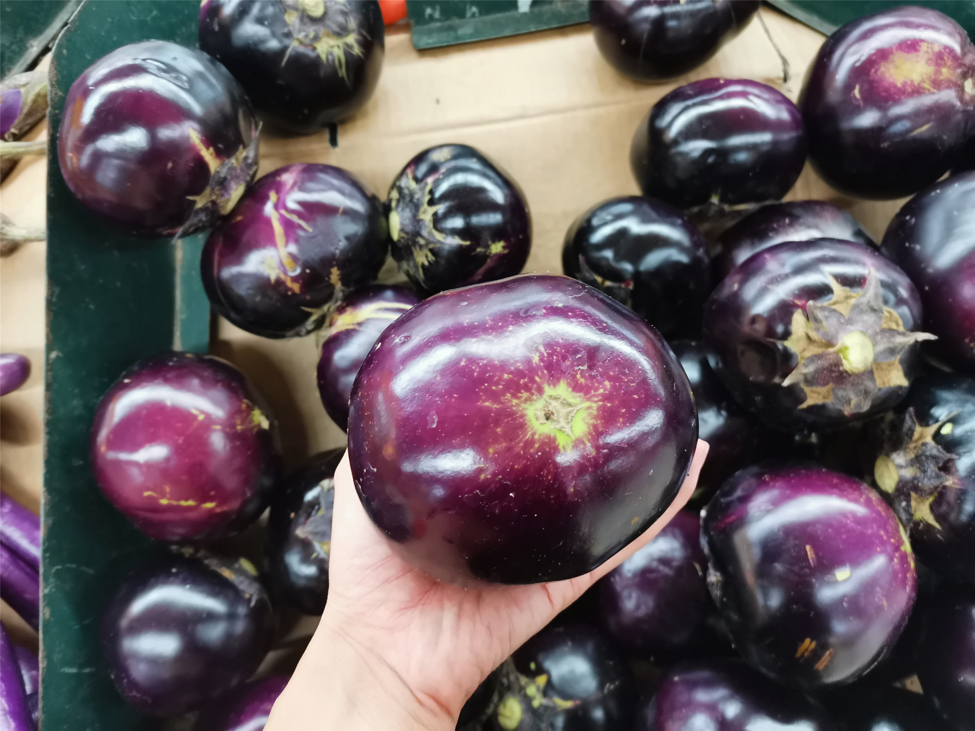 买茄子圆茄子好还是长茄子好不同品种不同做法别搞错了