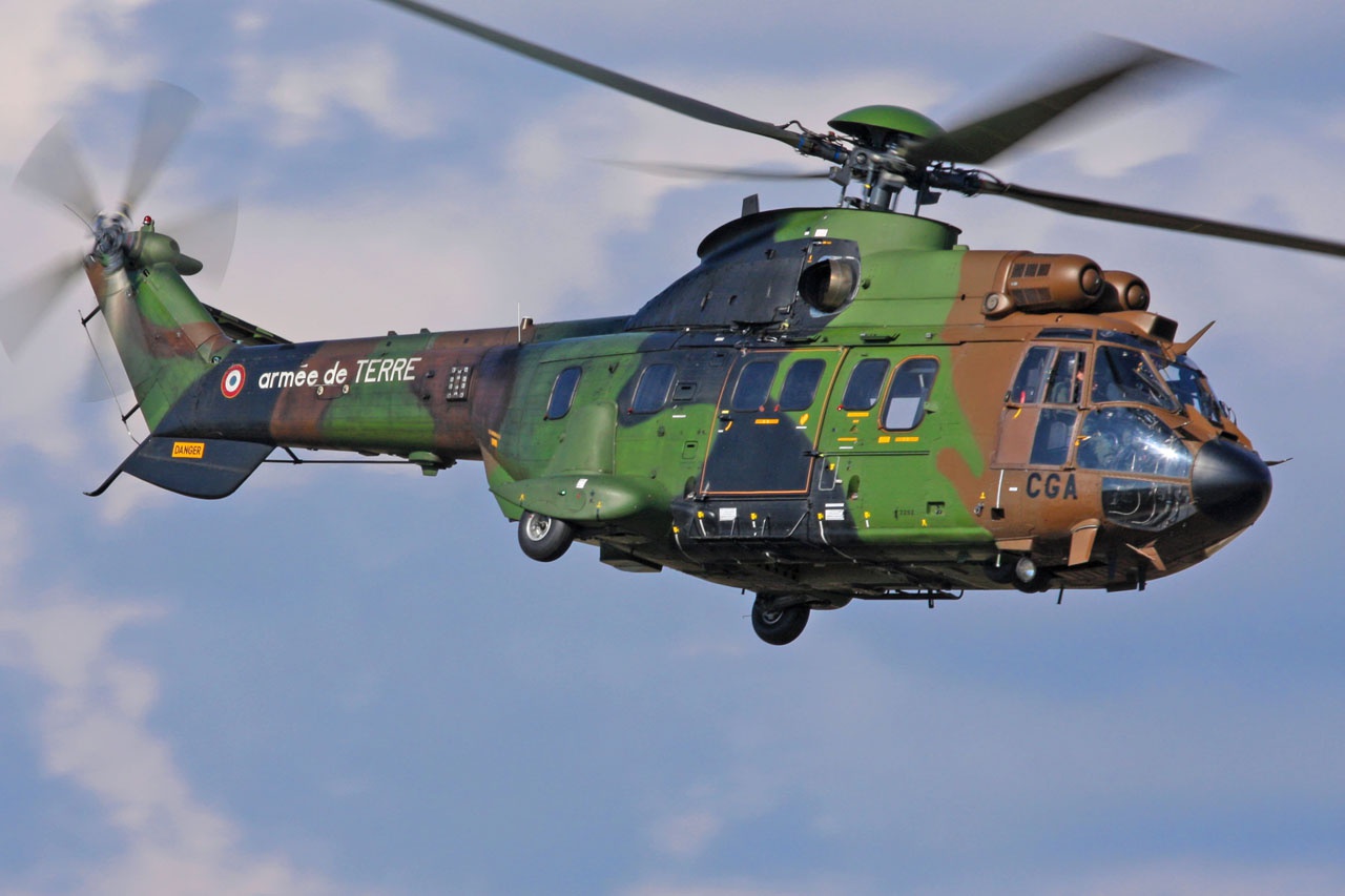 直升机|法国|美洲狮_新浪新闻