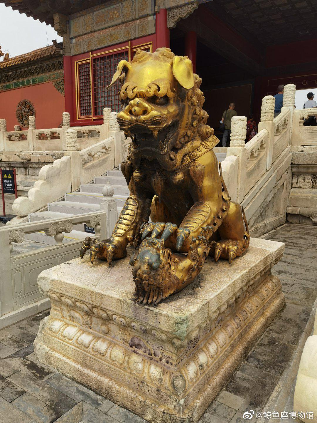 故宫乾清门前有一对鎏金铜狮,它们的眼睛半闭半睁、耷拉耳朵|铜狮|故宫|耳朵_新浪新闻