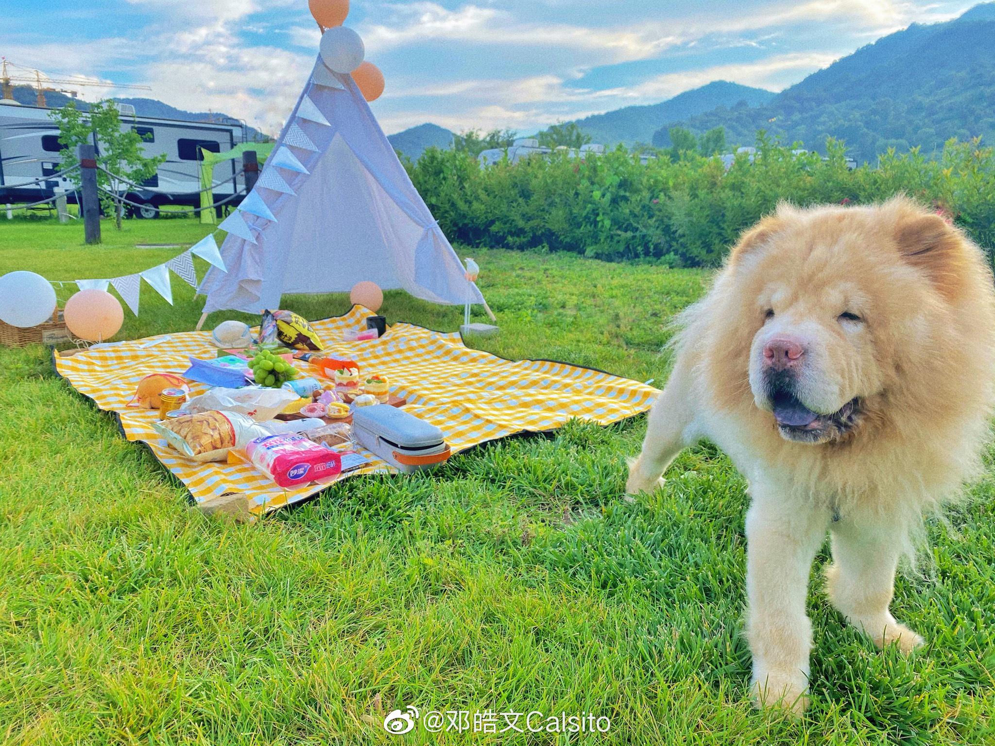 抓住夏天的尾巴,我终于出去玩啦! 第一次体验房车露营