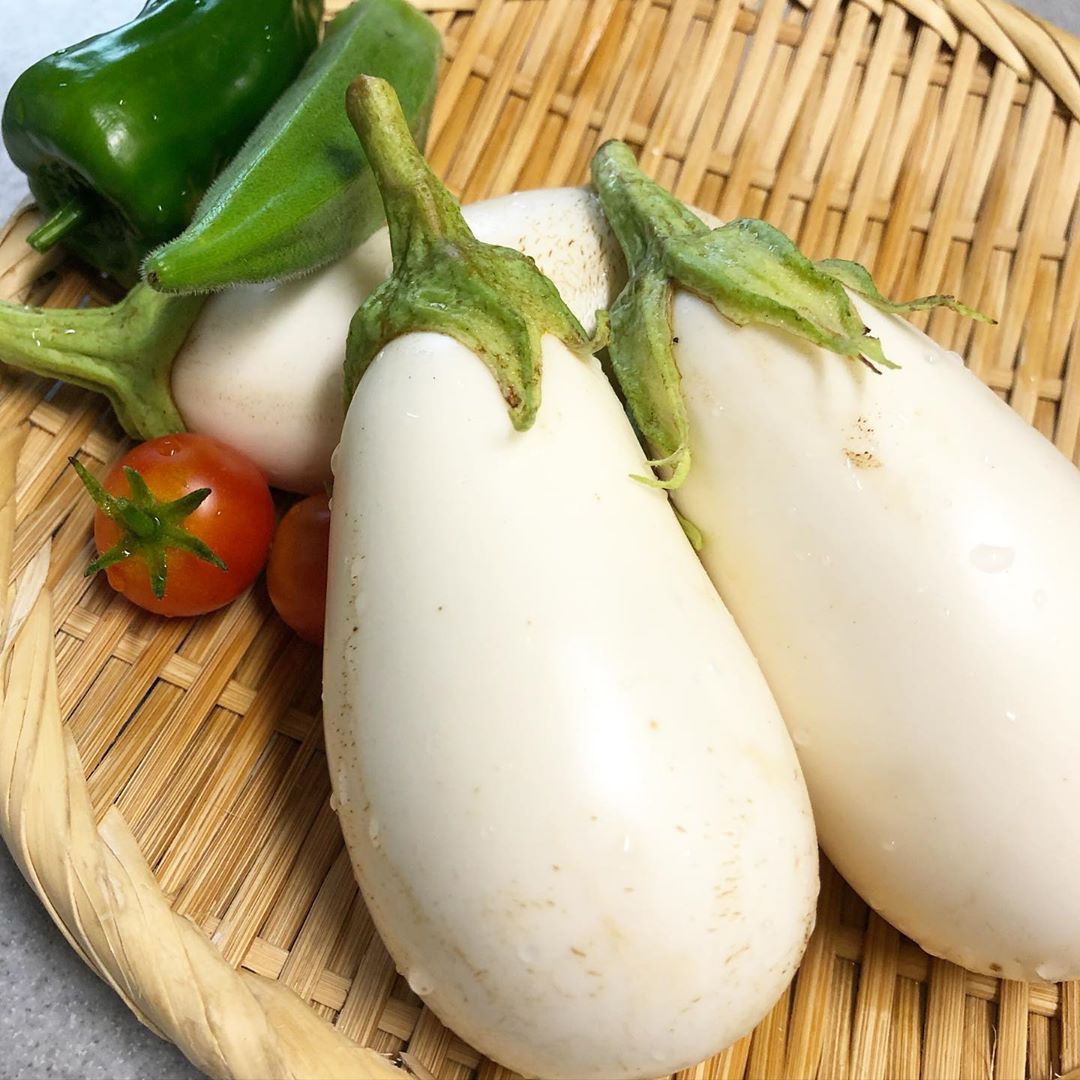 全世界的茄子都是紫色的?不,还有白色的茄子|茄子|白茄子|紫色_新浪新