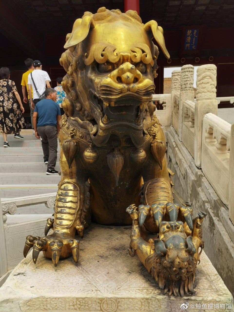 故宫乾清门前有一对鎏金铜狮,它们的眼睛半闭半睁、耷拉耳朵|铜狮|故宫|耳朵_新浪新闻