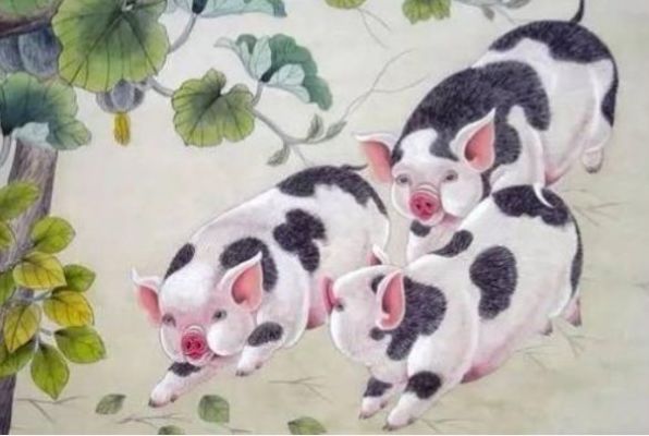 生肖猪97年运势如何样(1997属猪一生三大劫难)