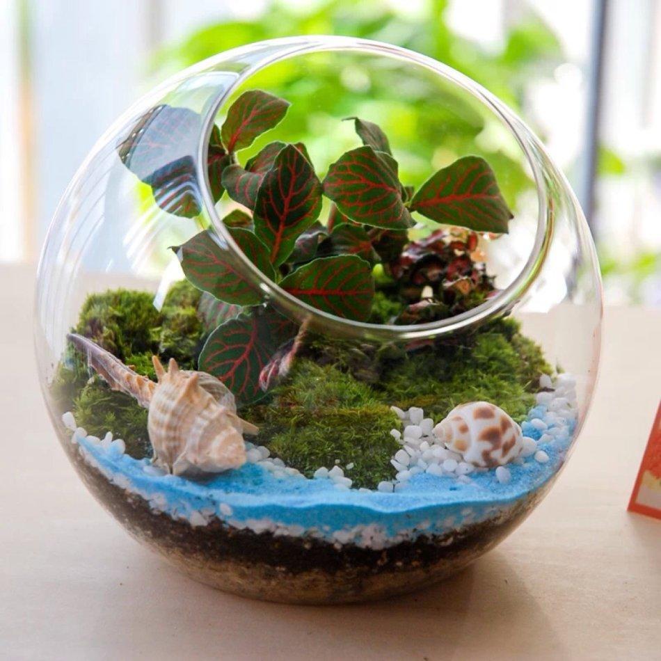 美到窒息的生态瓶,3步搞定,放在家里倍儿有面子!