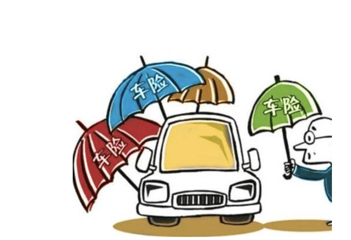 买车险有必要买车损吗