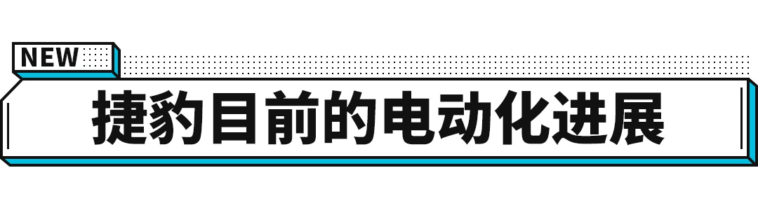 插上电才能跑的豹子 就算打6折你还爱吗？