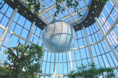 生态植物园惊现"超级月亮",上海南翔印象城mega成打卡地标