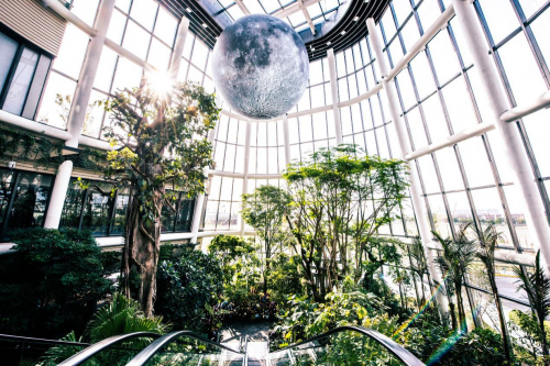 生态植物园惊现"超级月亮",上海南翔印象城mega成打卡地标