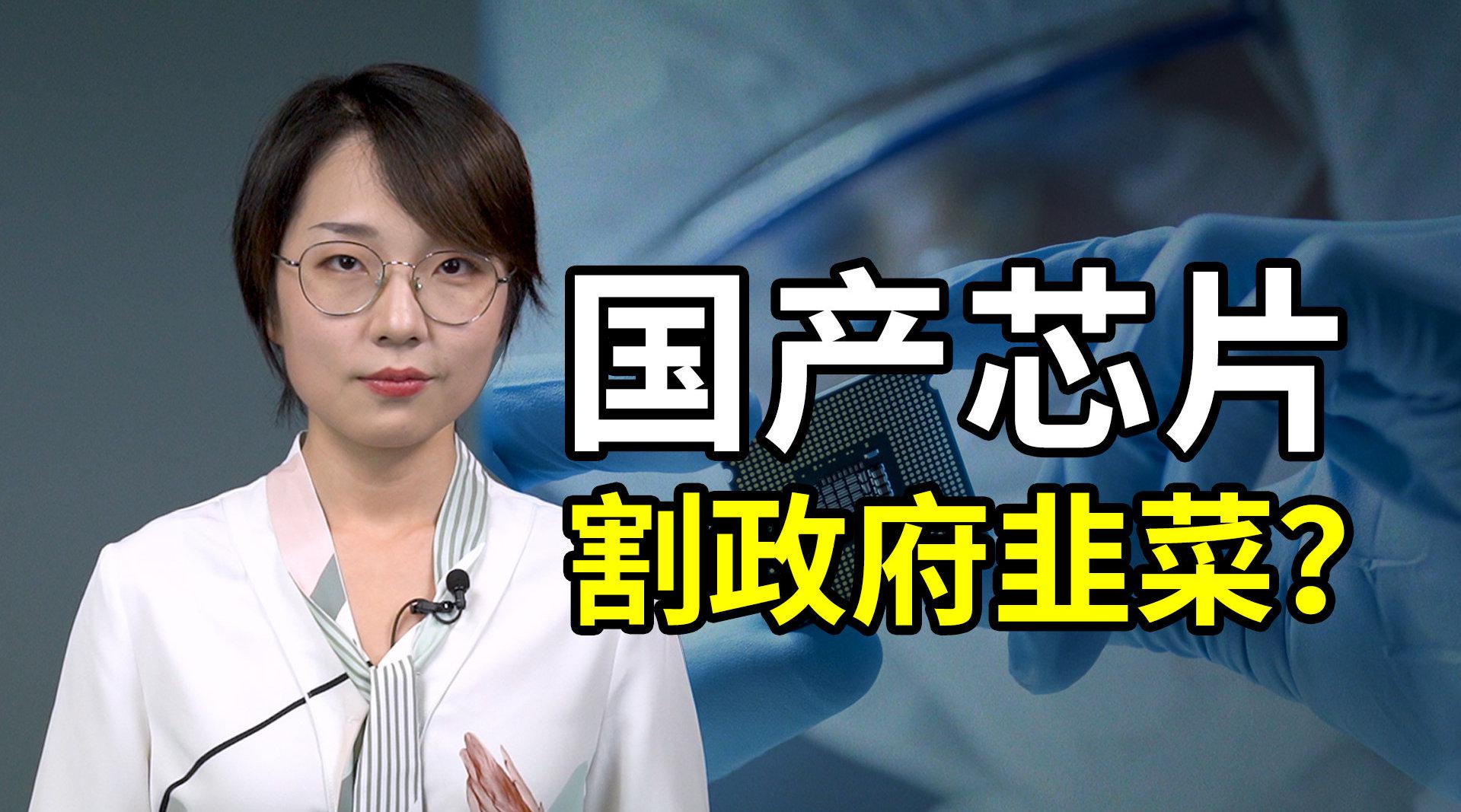 科工力量:国产芯片为什么难?有人空手套白狼割起政府的韭菜