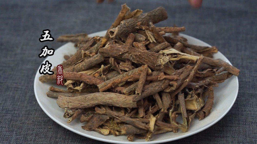 川卤现捞:核心香料"五加皮"在餐饮中的作用及用途