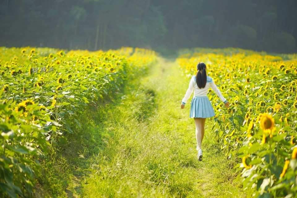 向日葵花田人像拍照指南,简单不做作9个拍照姿势,请收好