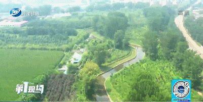 沈阳沈河公安何时成立 警务改革成效如何