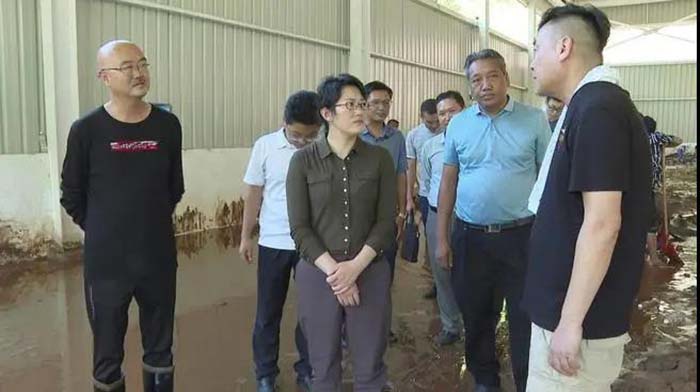 庞新秀深入受灾乡镇查看灾情指导防灾减灾工作