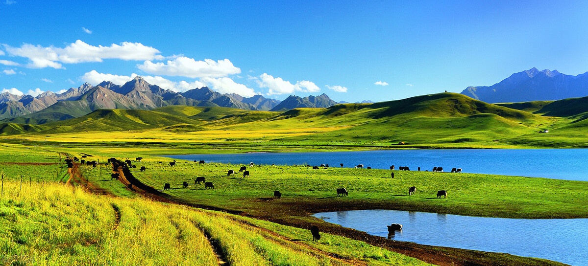 祁连:青海风光最美的县,素有"天境"之称,风景太美堪比瑞士|青海|祁连