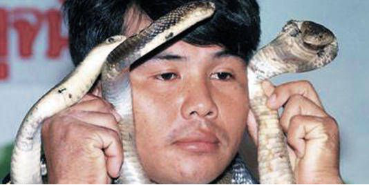 蛇王|眼镜蛇|泰国_新浪新闻