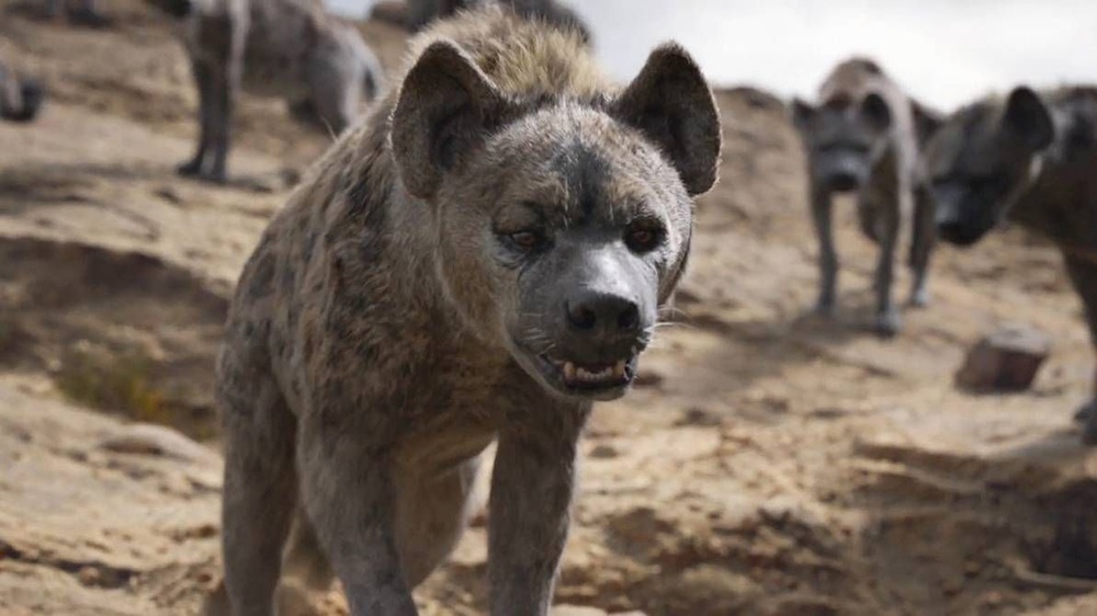 斑鬣狗的声音之谜能用