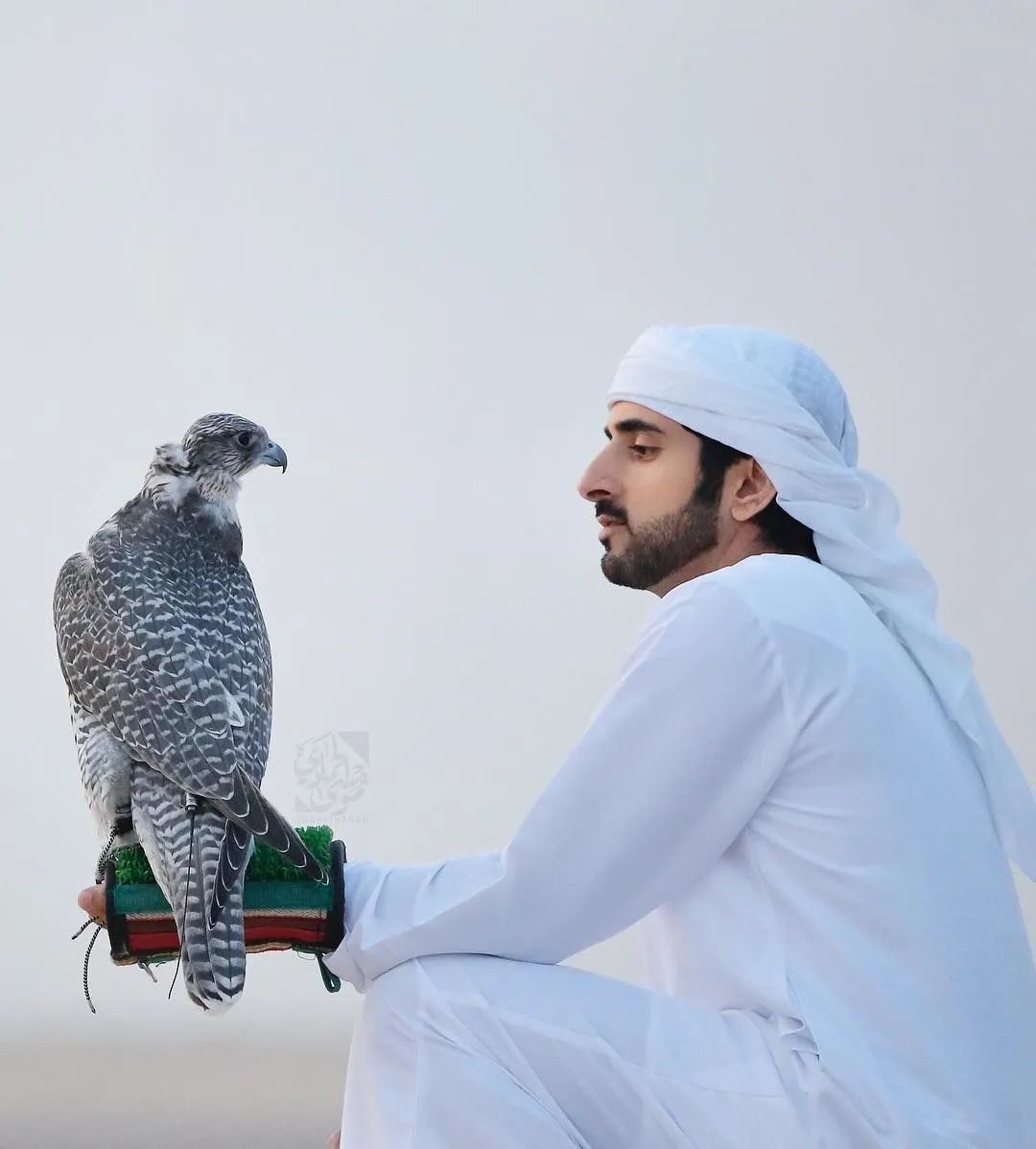 把奔驰让给小鸟筑巢,这位有颜多金的迪拜王子,看得让人犯花痴,可结局