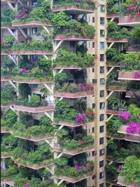 实拍成都已建成的所谓"第四代住宅"