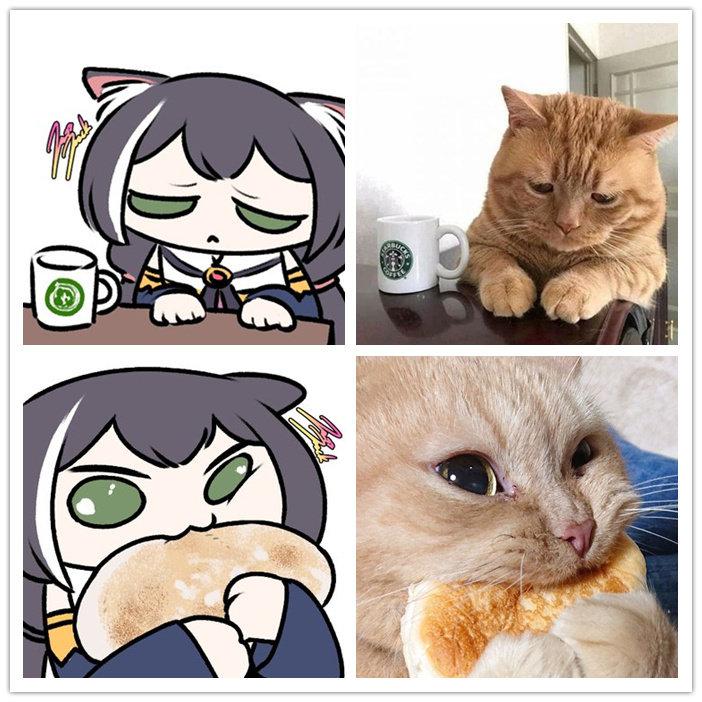 凯露x猫猫头好多要素啊哈哈哈哈twijazzjackkht