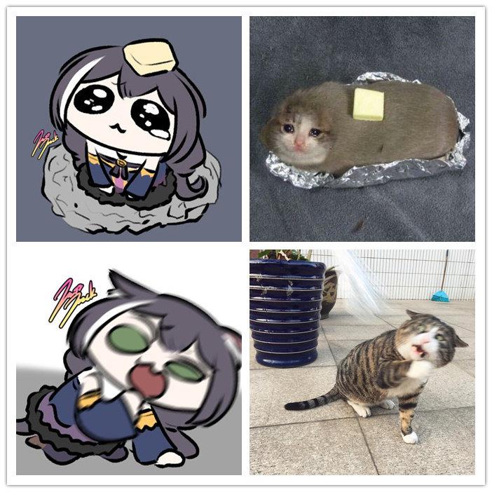 凯露x猫猫头好多要素啊哈哈哈哈twijazzjackkht