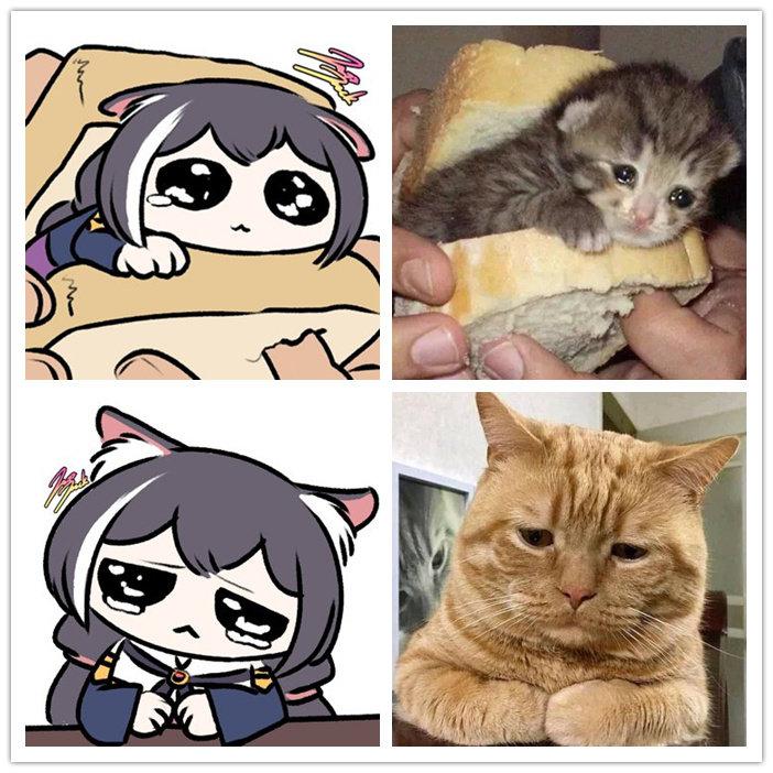 凯露x猫猫头好多要素啊哈哈哈哈twijazzjackkht
