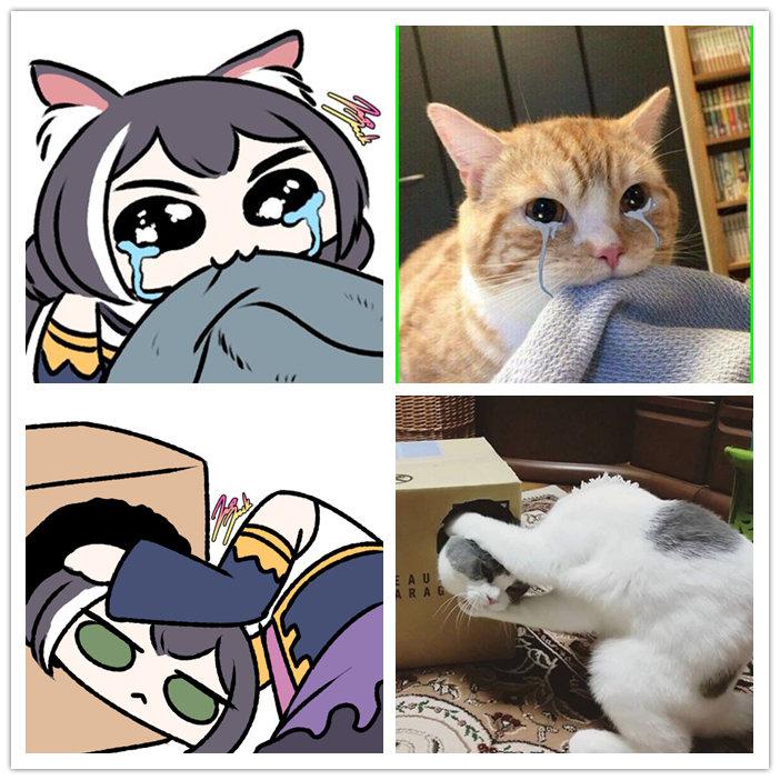 凯露x猫猫头好多要素啊哈哈哈哈twijazzjackkht