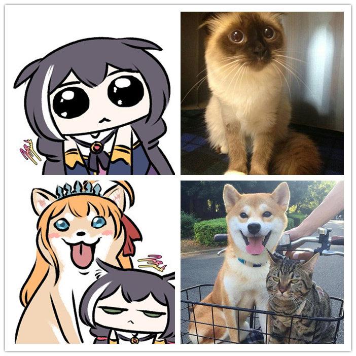 凯露x猫猫头好多要素啊哈哈哈哈twijazzjackkht