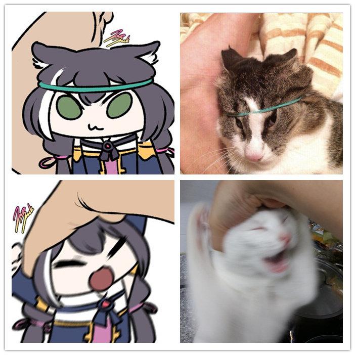 凯露x猫猫头好多要素啊哈哈哈哈twijazzjackkht