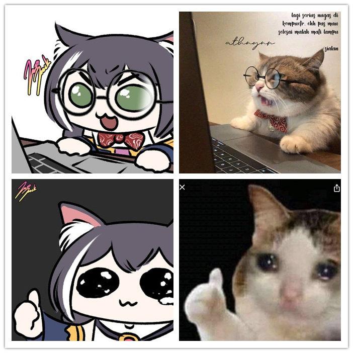 凯露x猫猫头好多要素啊哈哈哈哈twijazzjackkht