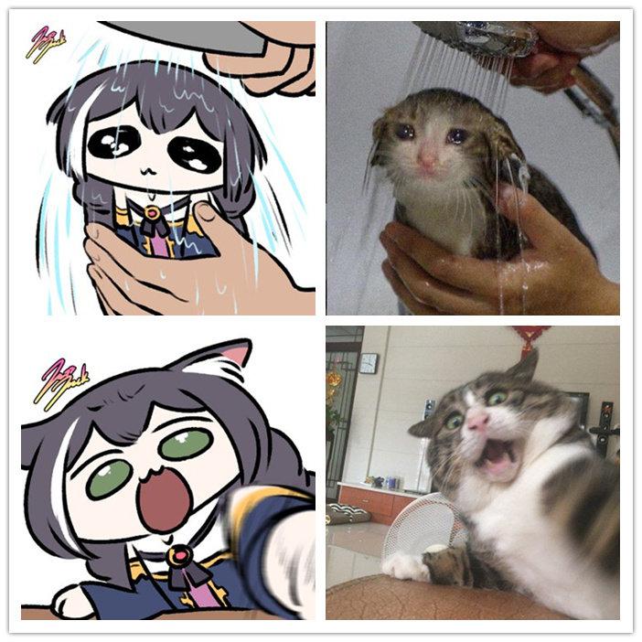 凯露x猫猫头好多要素啊哈哈哈哈twijazzjackkht