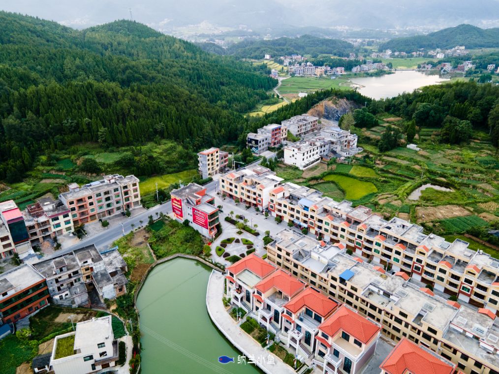 看看湖南隆回的农村有多富？家家户户住别墅，村子如公园！__财经头条