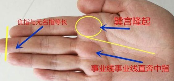 从手部面相看事业运解析,3种手相的人,事业成就高!