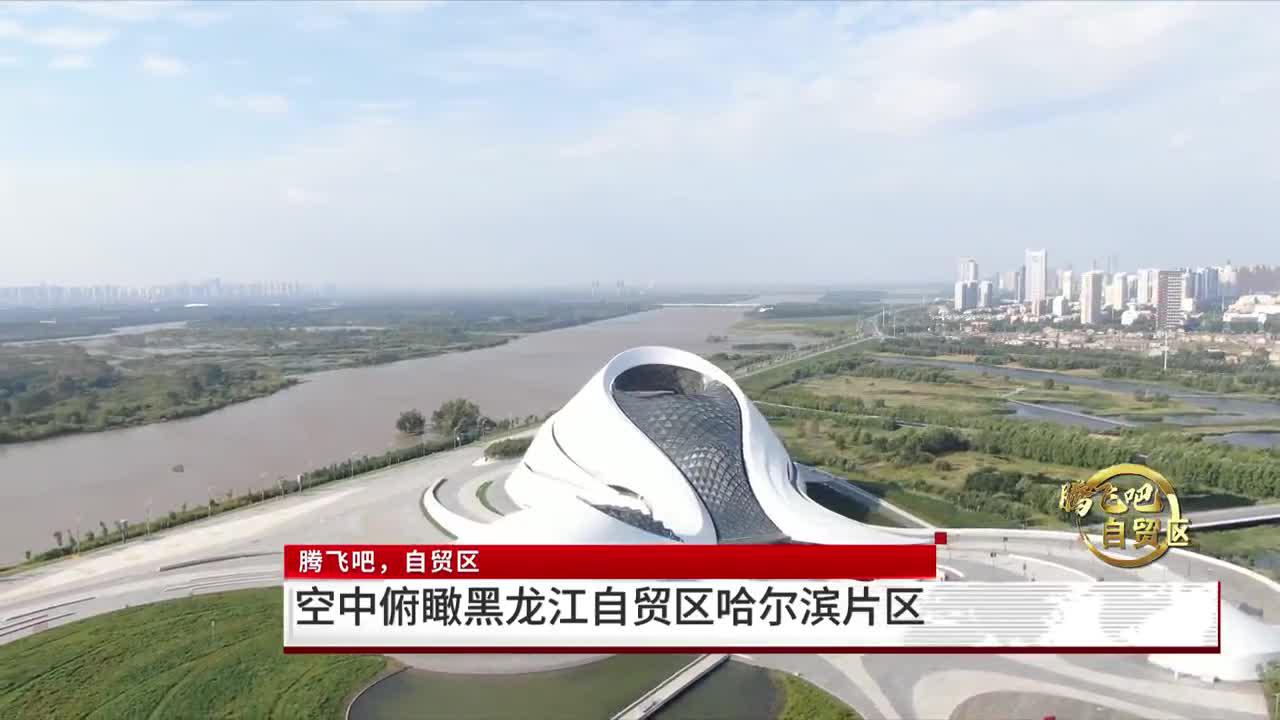 飞!空中俯瞰黑龙江自贸区哈尔滨片区