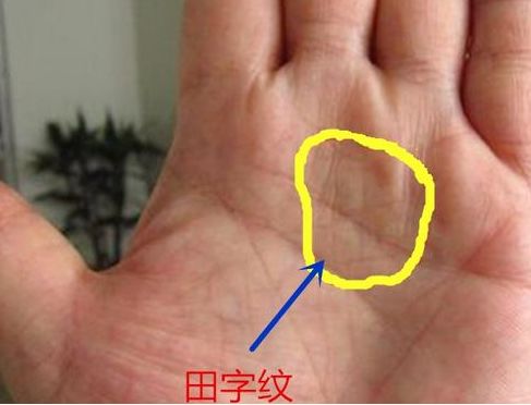 1,事业线,生命线附近出现田字纹,口字纹等之类,田字纹说明比较适合