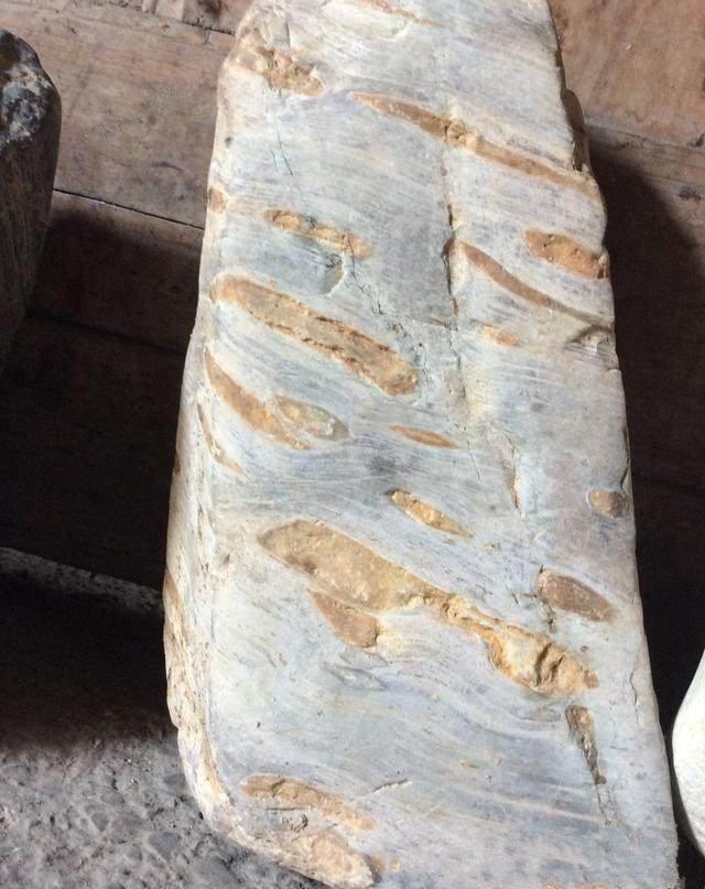 男子野外捡回一块满是窟窿的石头专家鉴定说很值钱