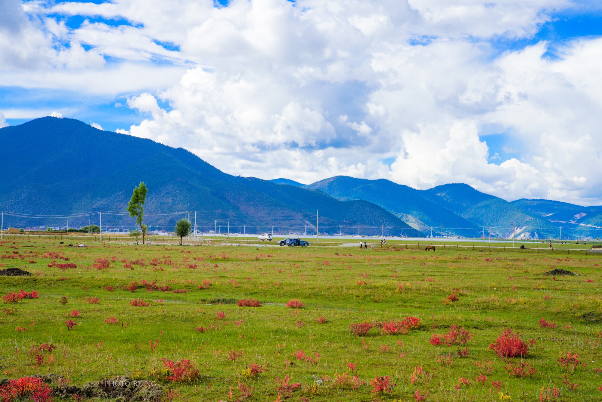 云南香格里拉这处地四季景致各有特色夏季为湖泊春秋则为草原