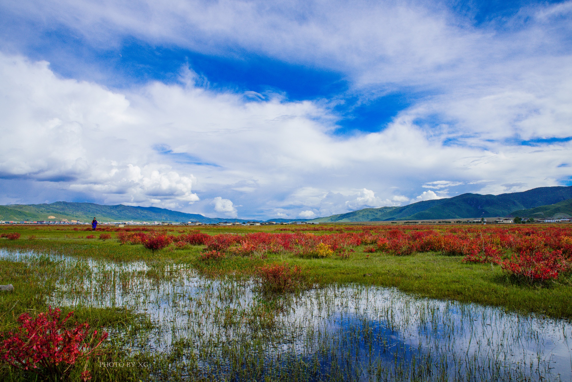 有特色,夏季为湖泊,春秋则为草原|纳帕海|依拉草原|香格里拉_新浪新闻