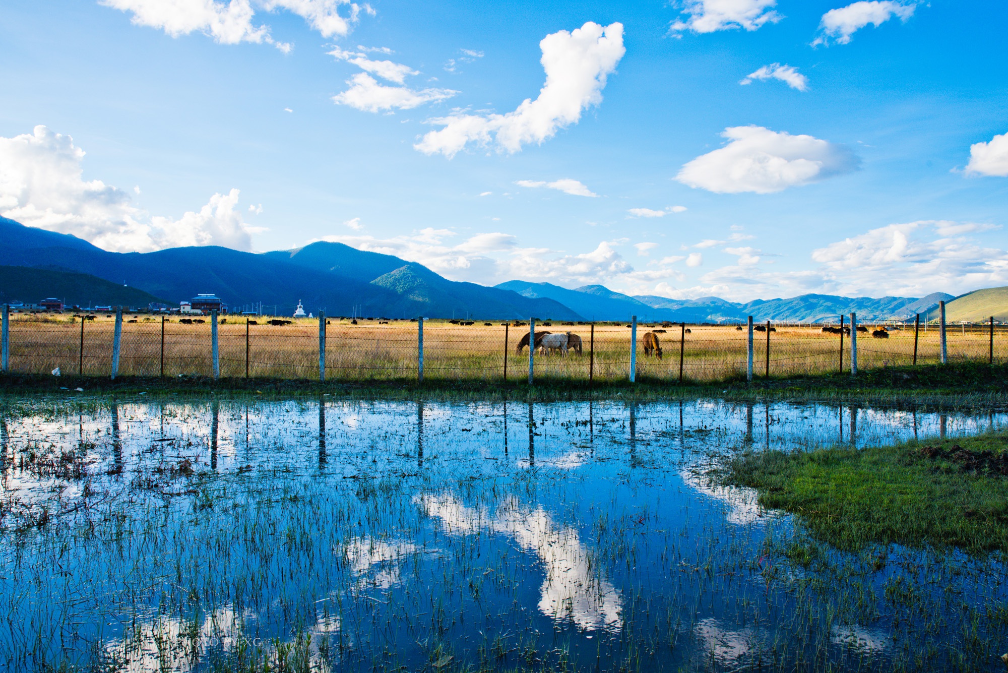 云南香格里拉这处地四季景致各有特色夏季为湖泊春秋则为草原