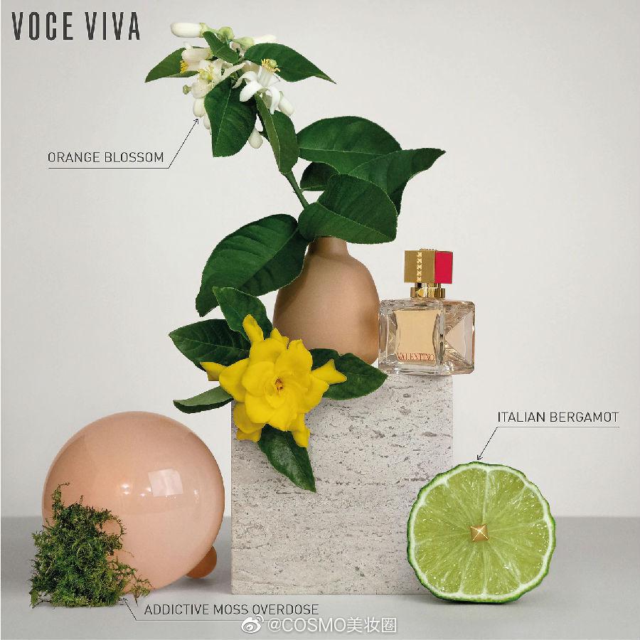 Voce Voce最新消息 新闻 图片 视频 聚合阅读 新浪网 Voce Voce最新消息 新闻 图片 视频 聚合阅读 新浪网