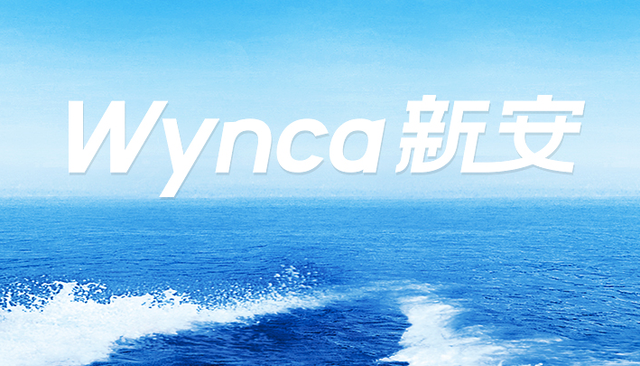 新安股份上半年关键词布局开拓