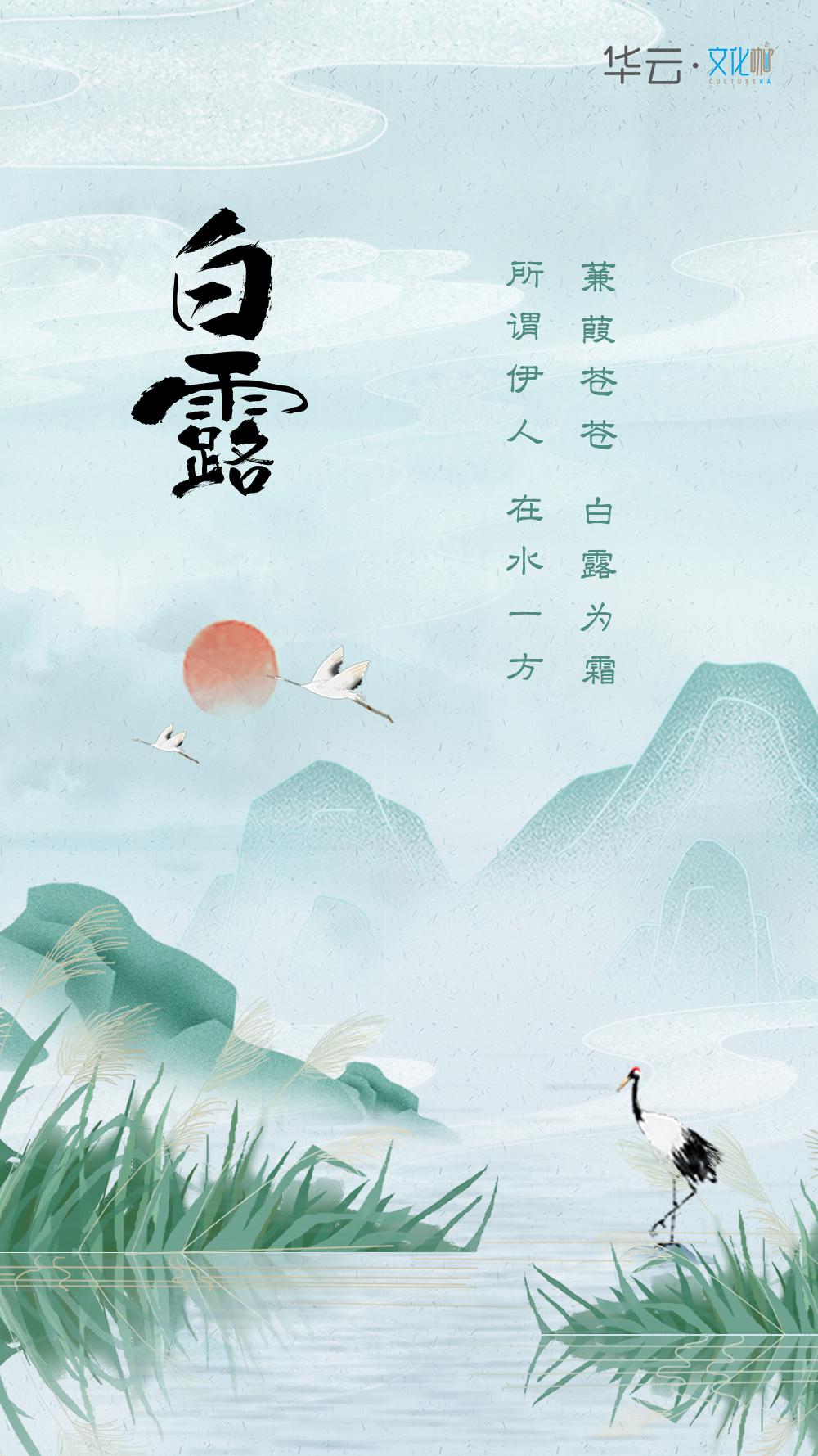 蒹葭苍苍白露为霜所谓伊人在水一方